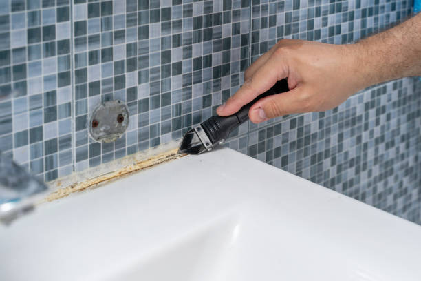 Trusted Green Valley, SD Mold Remediation Experts
