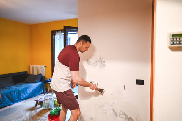 Best Preventive Mold Services in Green Valley, SD